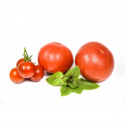 Tomatos